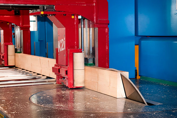 Untertisch-Schwenkkappsäge (Kehlbohle)